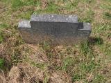 image of grave number 203564